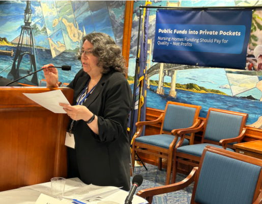 Alison Hirschel, speaking at a legislative event in Lansing