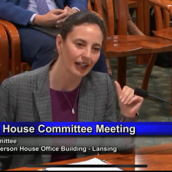 Nicole Shannon at Michigan House Committee Meeting